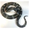 Image 1 : Raiders of the Lost Ark (1981) - Cobra Snake