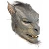 Image 1 : Underworld: Evolution (2006) - Lycan Head