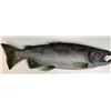 Image 1 : The Three Stooges (2012) - Prop Salmon Fish