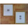 Image 1 : FRAMED ART - FRUIT - 2 TTL