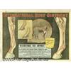 Image 1 : C1900 INTERNATION HORSE HOOF OINTMENT POSTER Inte