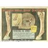 Image 2 : C1900 INTERNATION HORSE HOOF OINTMENT POSTER Inte