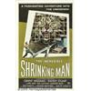 Image 1 : The Incredible Shrinking Man (Universal Internati