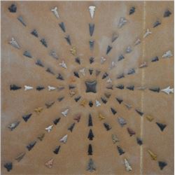 ANASAZI INDIAN ARROW HEAD COLLECTION