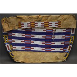 CHEYENNE INDIAN TEEPEE BAG