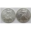 Image 1 : 2011 & 2013 AMERICAN SILVER EAGLES