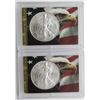 Image 1 : 2006 & 2007 .999 SILVER ONE OUNCE EAGLE
