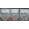 3- PCGS Wheat Cent Pennies