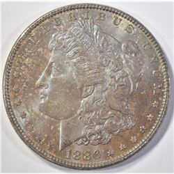 1886 MORGAN DOLLAR   UNC  TONED