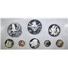 Image 2 : FOREIGN PROOF SET LOT: