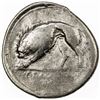 Image 2 : LUCANIA: Anonymous, ca. 334-300 BC, AR stater (7.05g), Velia. VG-F