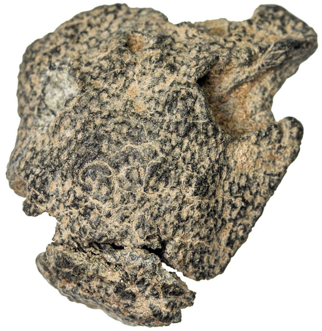 Umayyad Al Hajjaj B Yusuf Governor 694 713 Lead Seal 4 23g Nm Nd Vf