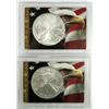 Image 1 : 2007 & 2007 .999 SILVER ONE OUNCE EAGLE