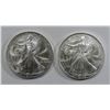 Image 1 : 2001 & 2005 AMERICAN SILVER EAGLES