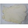 Image 3 : 2 JUMBO WHITE  RABBIT PELTS