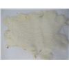 Image 4 : 2 JUMBO WHITE  RABBIT PELTS