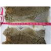 Image 2 : 2 JUMBO BROWN RABBIT PELTS