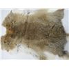 Image 3 : 2 JUMBO BROWN RABBIT PELTS