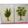 Image 1 : LOT OF 2 SIGNED OIL PAINTINGS