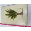 Image 5 : LOT OF 2 SIGNED OIL PAINTINGS