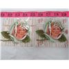 Image 3 : WHITE ROSE OIL GIRL LABELS