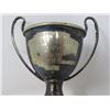 Image 2 : TINY TROPHY