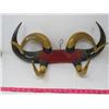 Image 2 : GOAT 9 BULLHORN RACK
