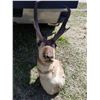 Image 1 : HAT RACK (ANTELOPE)