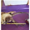 Image 5 : HAT RACK (ANTELOPE)