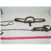 Image 2 : LOT OF 2 TRAPS
