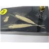 Image 2 : DESKTOP PEN SET (WHEAT THEMED)