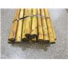 Image 1 : GREEN TREATED POSTS