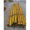 Image 2 : GREEN TREATED POSTS