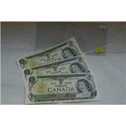 Canada Dollar Bill (3)