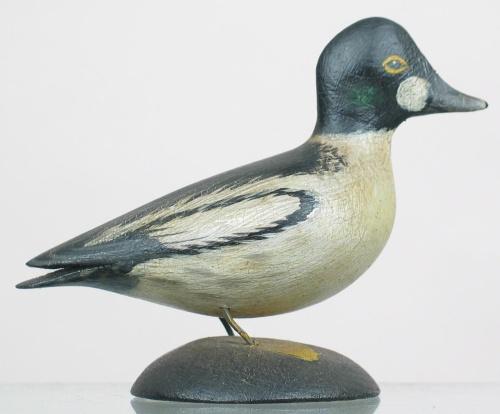 Early miniature goldeneye drake by A. E. Crowell,