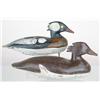 Image 1 : Hooded merganser decoys