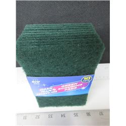 New 10 piece Green Scouring Pads / Great for Grill Cleaning