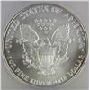 Image 2 : 2007 AMERICAN SILVER EAGLE