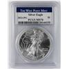 Image 3 : 2013(W) AMERICAN SILVER EAGLE