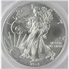 Image 1 : 2013(S) AMERICAN SILVER EAGLE