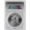 Image 4 : 2013(W) AMERICAN SILVER EAGLE