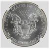 Image 2 : 2014(W) AMERICAN SILVER EAGLE