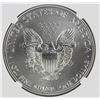 Image 2 : 2019 AMERICAN SILVER EAGLE