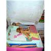 Image 1 : BARBIE DOLL CASE
