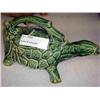 Image 1 : MCCOY TURTLE PLANT PITCHER