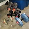 Image 1 : LOT OF DUMBELLS