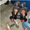 Image 3 : LOT OF DUMBELLS