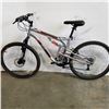 Image 1 : GREY WICKED BIKE