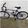 Image 3 : BLUE RALEIGH BIKE