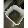 Image 2 : 2 PAILS OF 50FT CHAINS